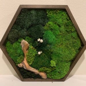 Hexagon Moss Wall Art – 3-Piece Set with Ferns & Driftwood