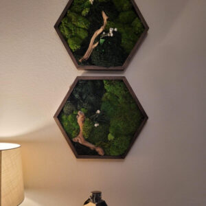 Hexagon Moss Wall Art – 3 or 4-Piece Set with Brown & Blue Crystal