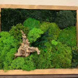 Luxury Moss Wall Art Driftwood & Ferns for Hotels & Spas