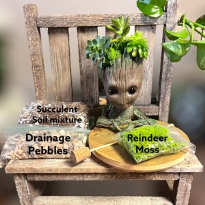 Baby Groot Succulent Planter Kit | DIY Gardening Gift | Indoor Plant Decor