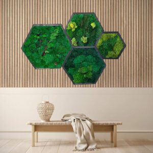 Preserved Moss Art Framed Set of 4: Botanical Wall Decor