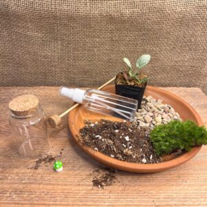 DIY Terrarium Kit for Beginners-2" Glass Jar with Live moss | Fun Indoor Garden Craft for Kids & Adults | Indoor Plant Craft Kit