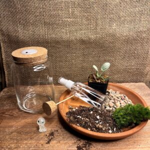 DIY Terrarium Kit for Beginners-5" Glass Jar Terrarium with Led Cork| Fun Indoor Garden Craft for Kids & Adults