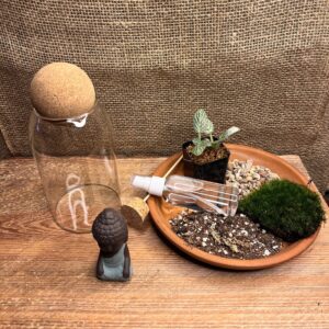 DIY Terrarium Kit for Beginners - 7" Glass jar Terrarium Kit with Live Moss & Plants | Nature Craft Gift Kit