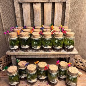 Live Moss Terrarium Party Favors, Wedding, Birthday (2")