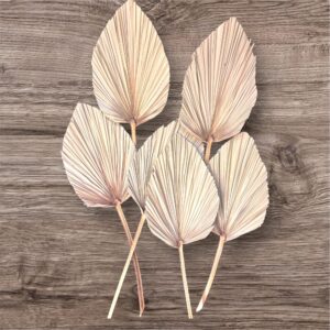 Dried Palm Leaf: Natural Bouquet DIY Craft Supply - Set of 2