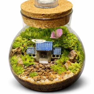 LED Moss Terrarium Decor | Mini Desk Ecosystem Gift | Handmade Indoor Plant l Valentine gift