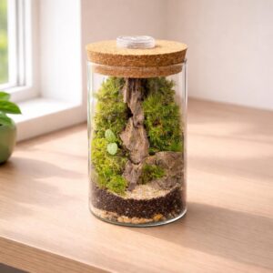 Handmade Live Moss Terrarium, Lighted Cork Lid, Self-Sustaining Ecosystem