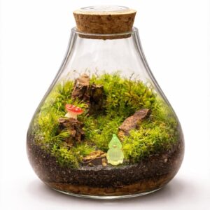 Handmade Glass Moss Terrarium with LED Cork Lid | Self-Sustaining Garden