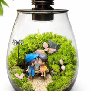 7.5" Round Biolark Bio Terrarium – Ready-to-Display Living Moss Ecosystem with Plants & 3W LED Lid