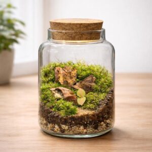 5.5″ Glass Terrarium with Live Moss | Handmade Self-Sustaining Ecosystem | Milk Bottle Moss Jar with Cork Lid | Easy Care Indoor Plant Gift