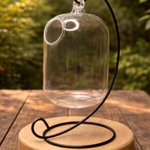 6” Glass Terrarium Container with Stand | DIY Plant & Moss Display | Modern Clear Glass Orb
