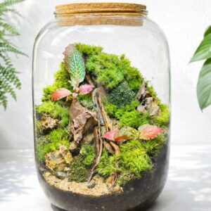 9" Living Moss Terrarium | Handmade Ecosystem with LED Cork