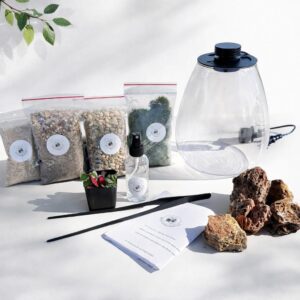 DIY Terrarium Kit – Live Moss & Plants, LED Lid, Indoor Garden