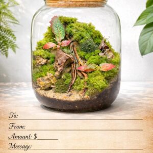 Terrarium Gift Card | Plant Lover Digital Certificate (100 Dollar Value)