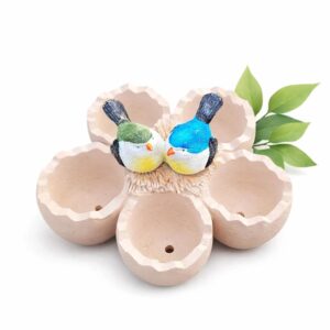 Chicken bird Succulent Planter Pot – 5-in-1 Indoor & Outdoor Garden Décor