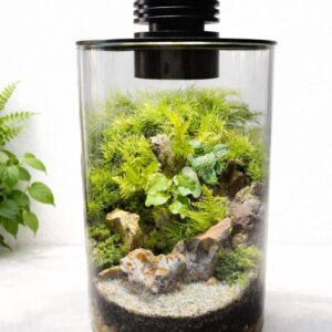 Live Moss Terrarium with LED Grow Light | 5.5" Biolark Glass Garden