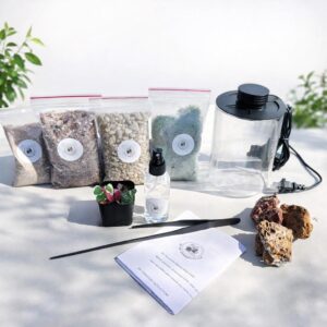 DIY Terrarium Kit – 5.5” Glass Jar with LED, Live Moss & Plants
