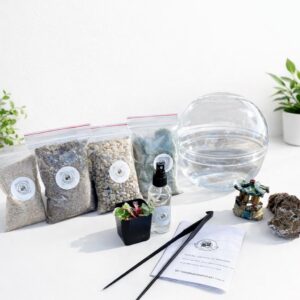 DIY Live Moss Terrarium Kit | 7" Dome Glass Jar, Garden Craft