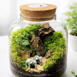 Handmade Glass Terrarium with Live Moss & Lighted Cork Lid