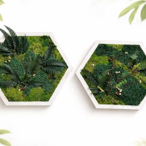 Hexagon Moss Wall Art – Preserved Moss Wall Decor – Botanical Green – Zero Maintenance Plant Wall – Handmade Wood Frame Nature Wall Decor