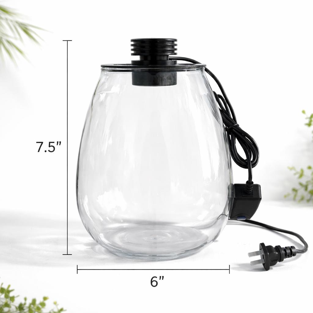Biolark LED Moss Terrarium, Premium Self-Sustaining Ecosystem - Image 6
