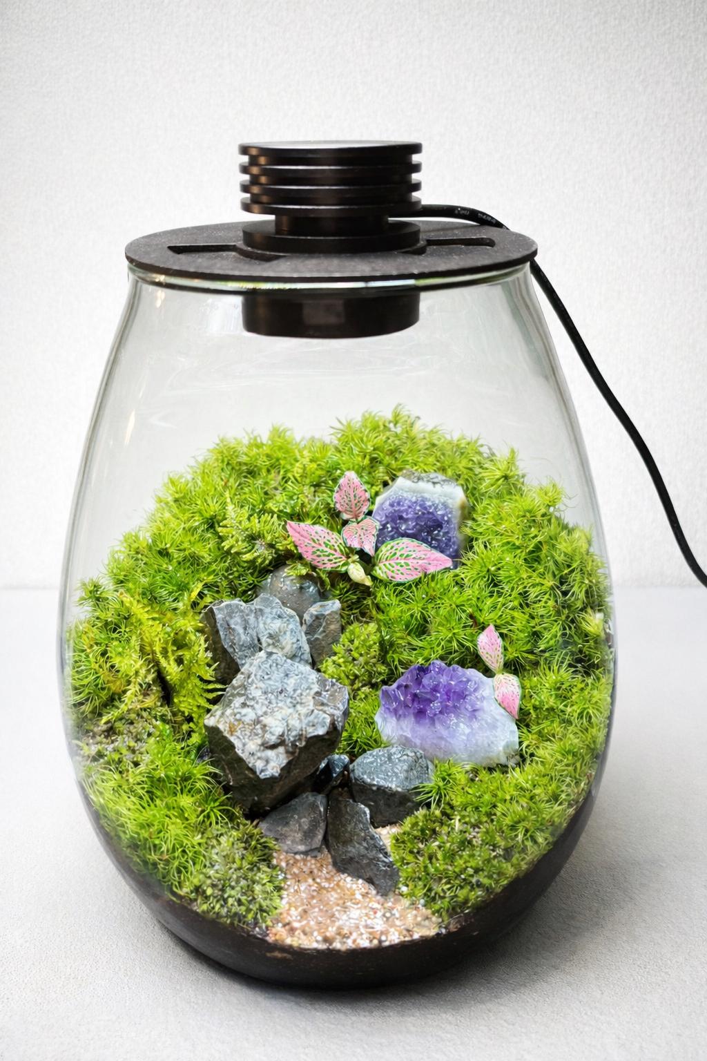 Biolark LED Moss Terrarium, Premium Self-Sustaining Ecosystem - Image 2