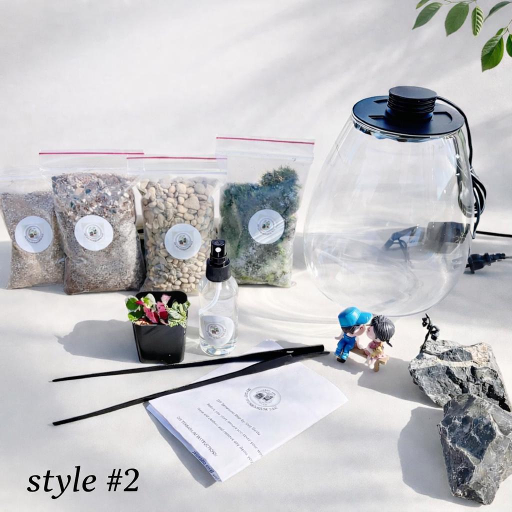Biolark LED Moss Terrarium, Premium Self-Sustaining Ecosystem - Image 4