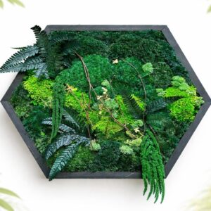 Hexagon Preserved Moss Wall Art, Botanical Green