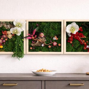 12x12 Preserved Moss Wall Art