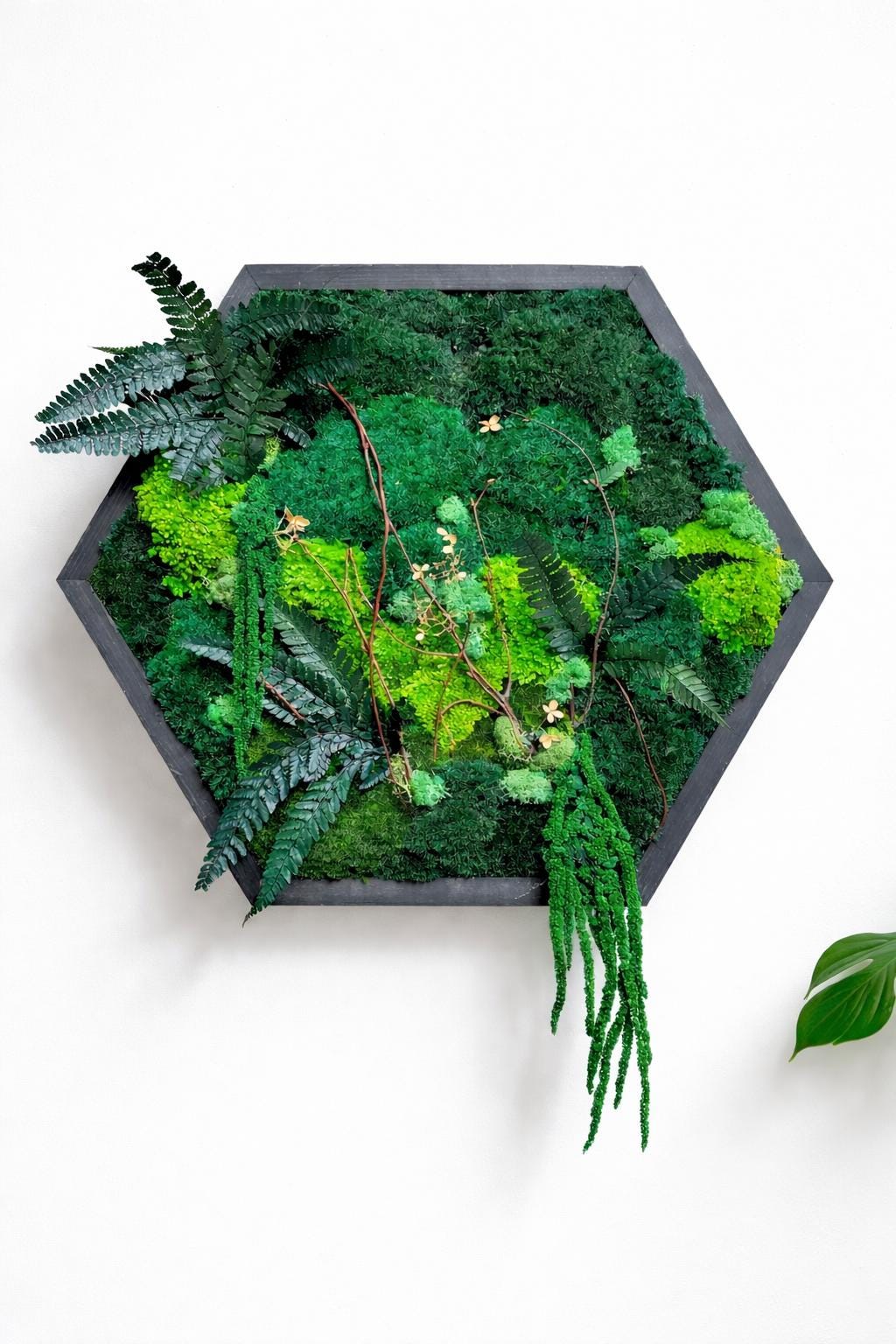 Hexagon Preserved Moss Wall Art, Botanical Green - Image 8