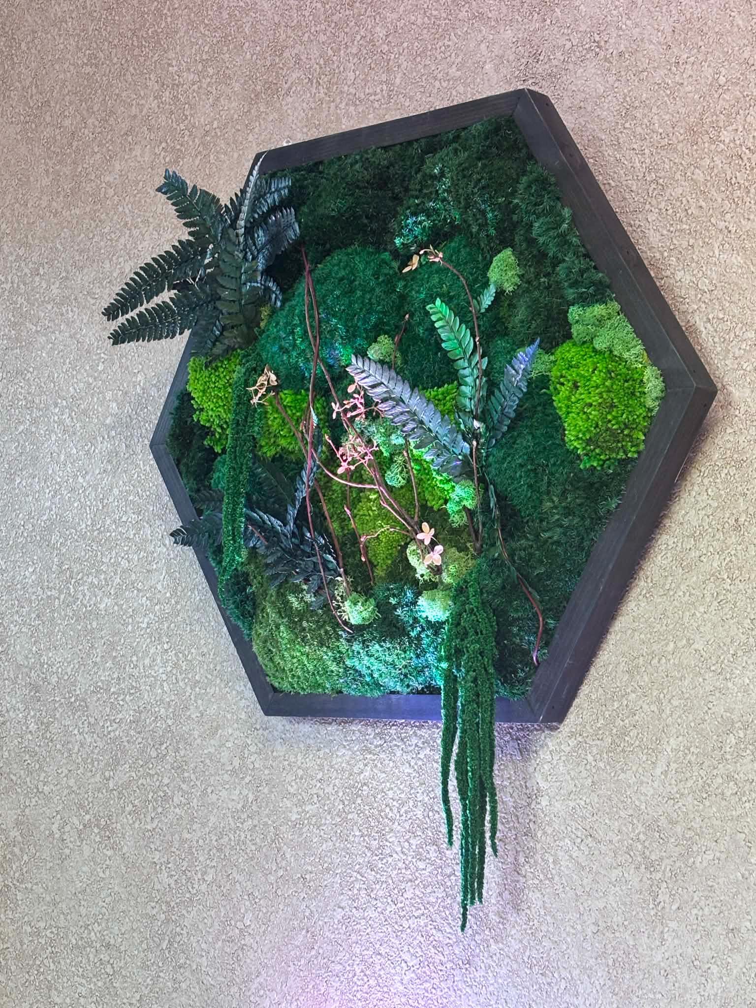 Hexagon Preserved Moss Wall Art, Botanical Green - Image 10