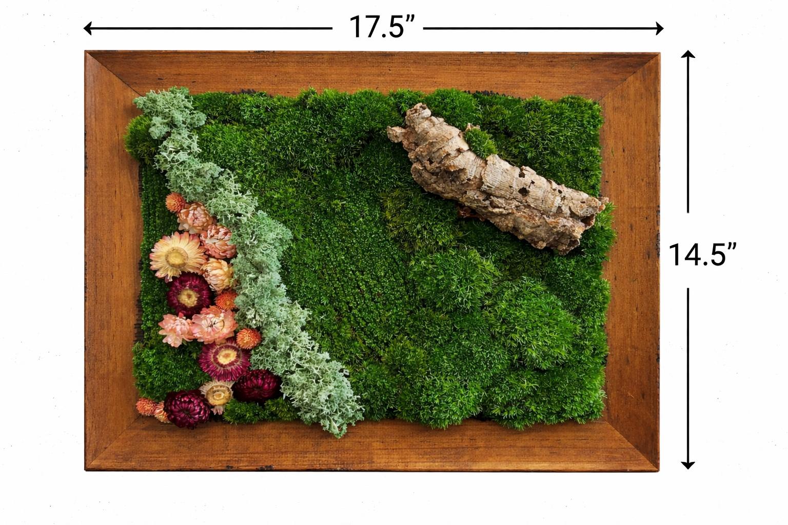 Framed Preserved Moss Wall Art with Driftwood, Reclaimed Wood - Image 3