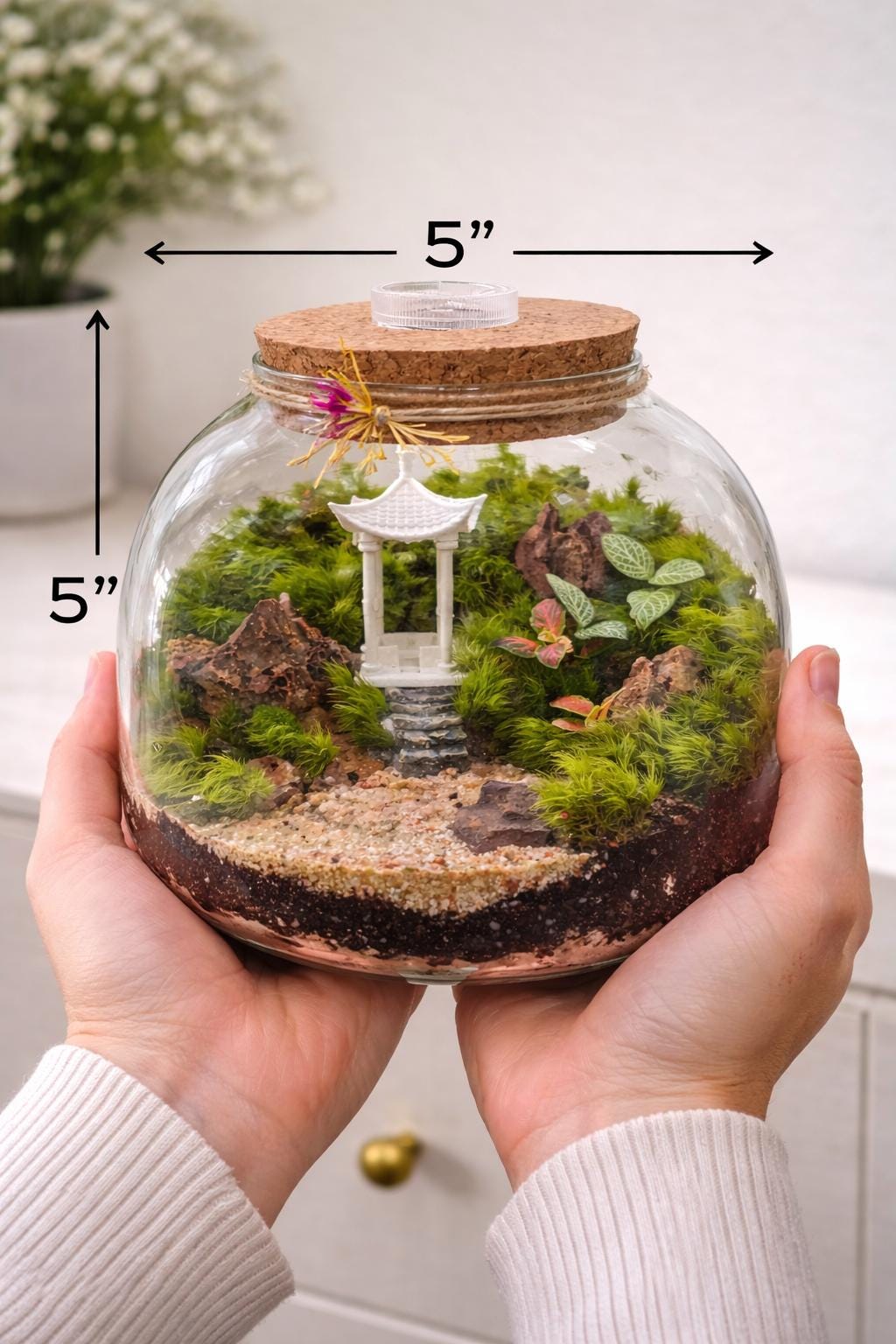 Japanese Garden Moss Terrarium with LED Cork Lid - Image 7