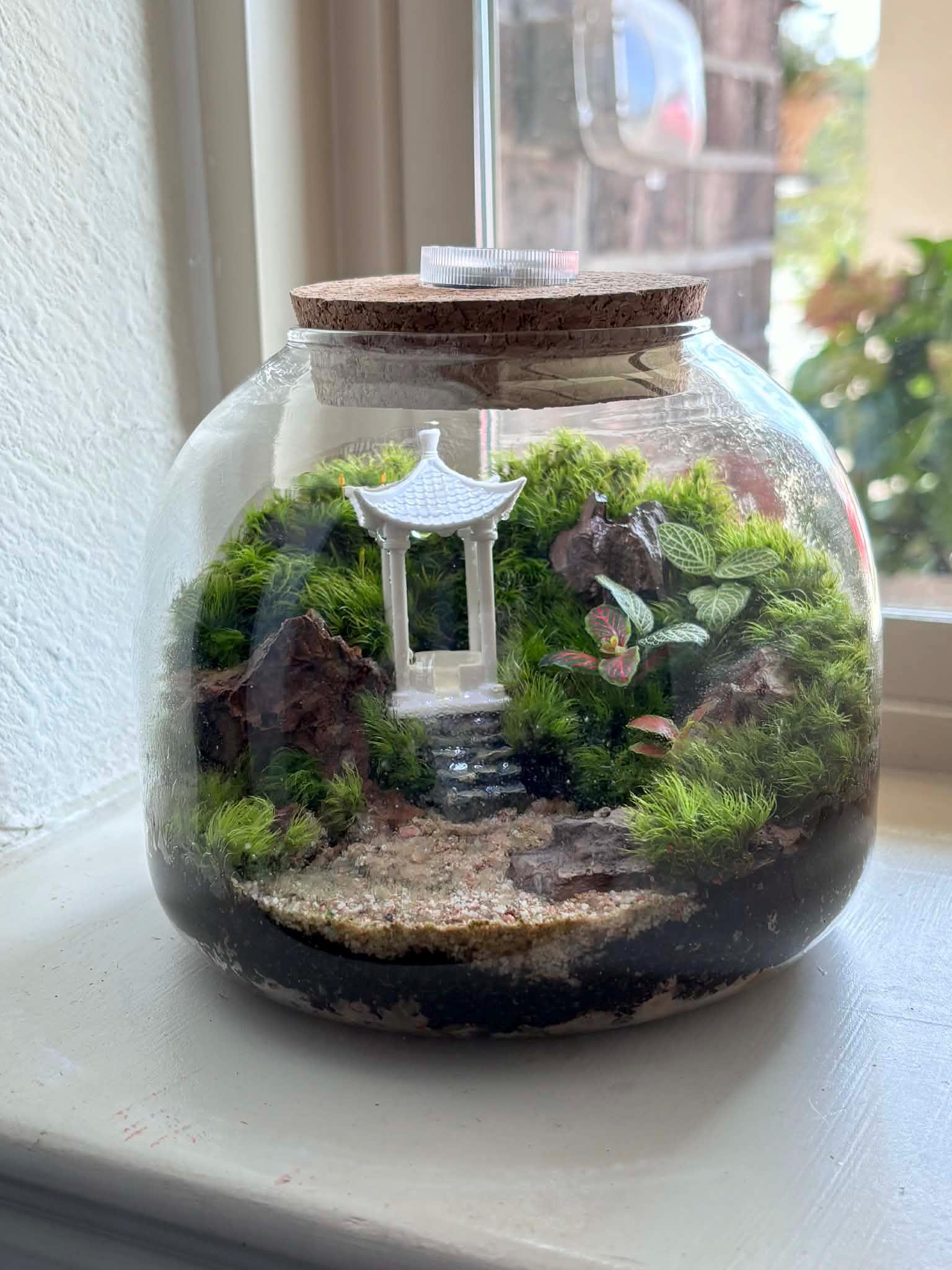Japanese Garden Moss Terrarium with LED Cork Lid - Image 10