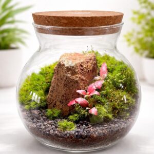 Globe Moss Terrarium with LED Cork Lid & Pagoda Stone