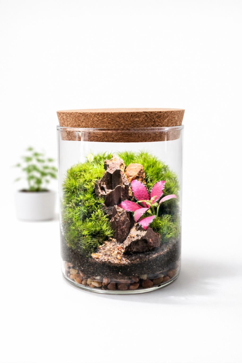 Pink Fittonia Moss Terrarium with Pagoda Stone - Image 2
