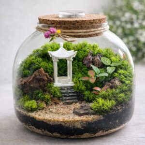 Japanese Garden Moss Terrarium with LED Cork Lid