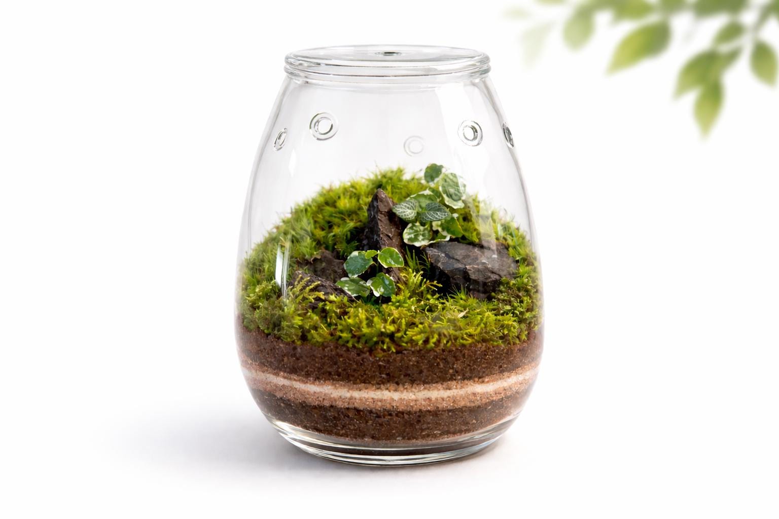 Handcrafted Self-Sustaining Glass Terrarium, Ventilated Design - Image 7