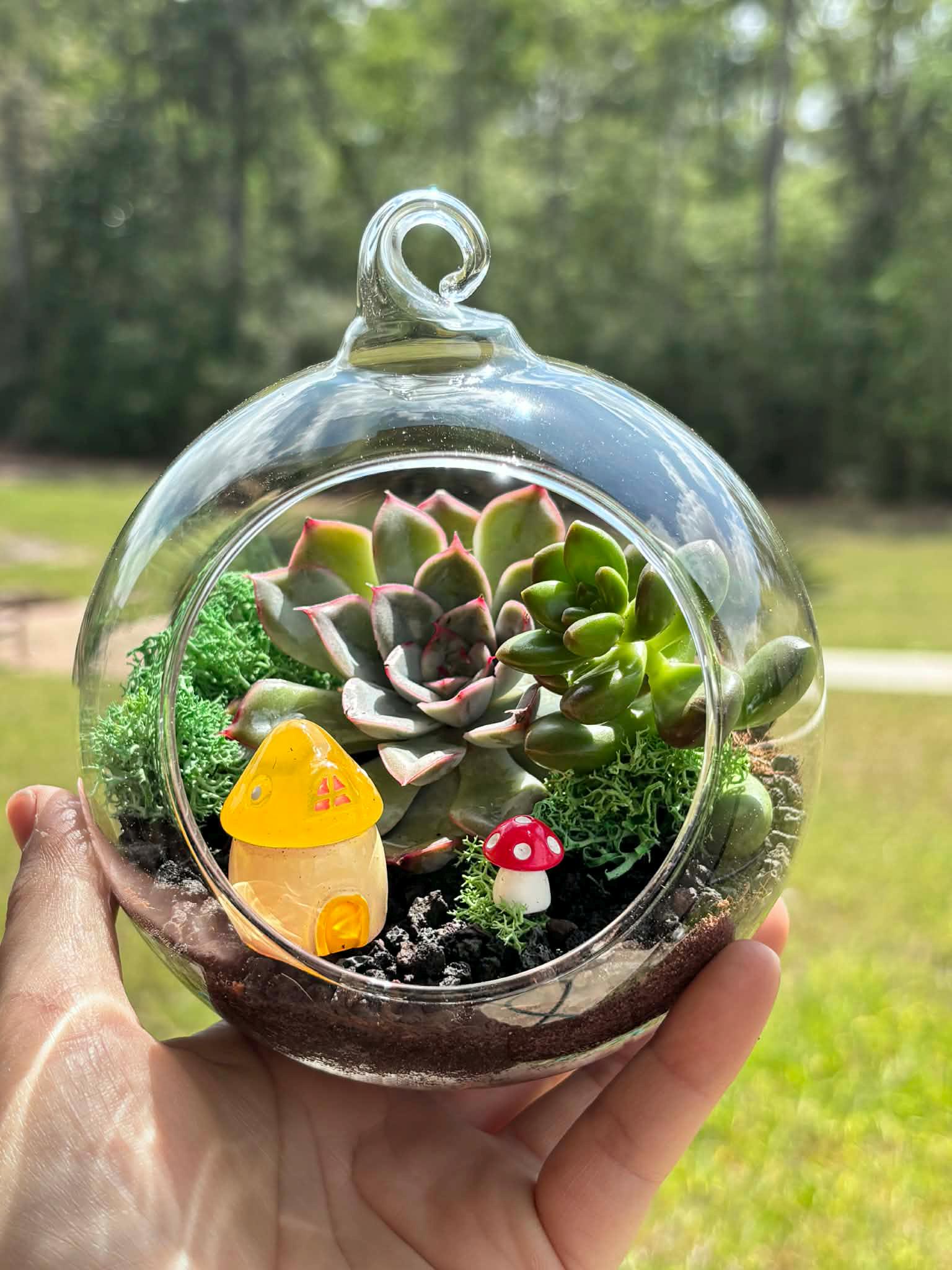 Open Orb Hanging Terrarium Kit with Mushroom Decor - Image 6