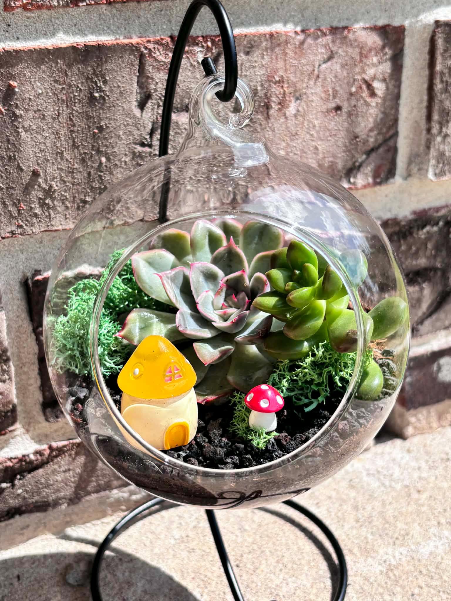 Open Orb Hanging Terrarium Kit with Mushroom Decor - Image 7
