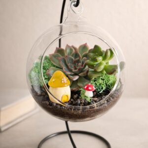 Open Orb Hanging Terrarium Kit with Mushroom Decor