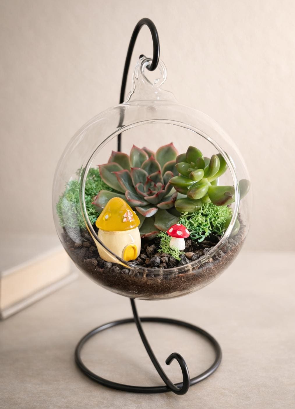 Open Orb Hanging Terrarium Kit with Mushroom Decor