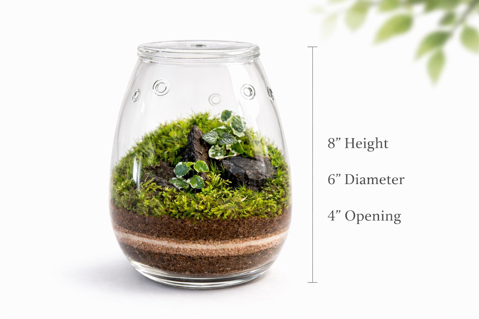 Handcrafted Self-Sustaining Glass Terrarium, Ventilated Design - Image 3