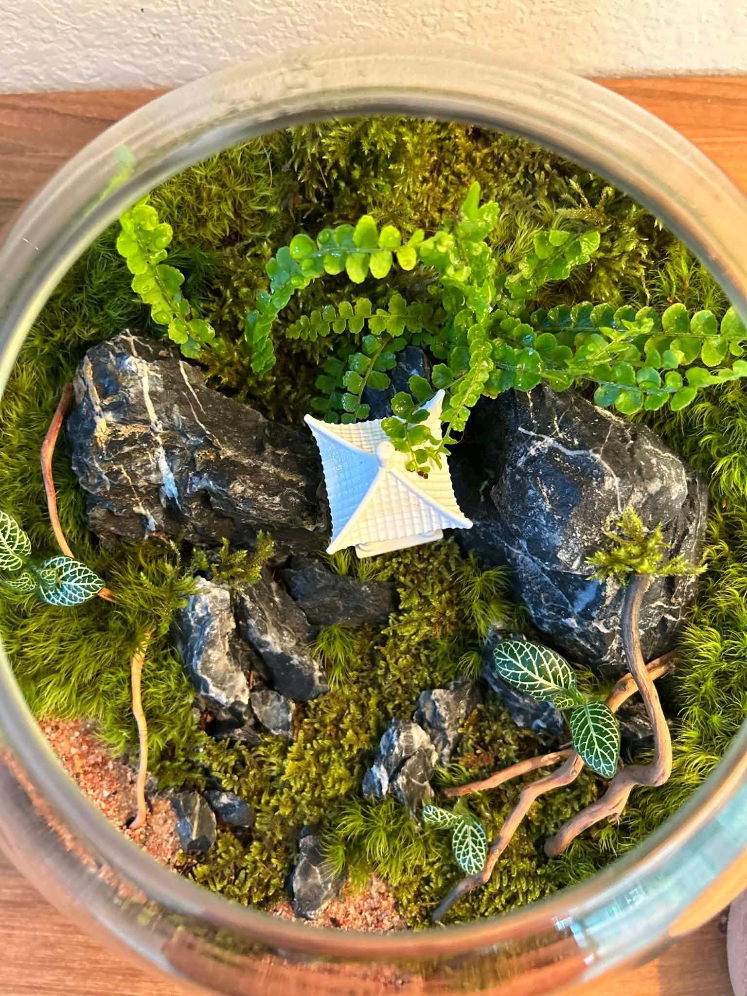 10" Japanese Zen Garden Moss Terrarium with Pagoda - Image 9