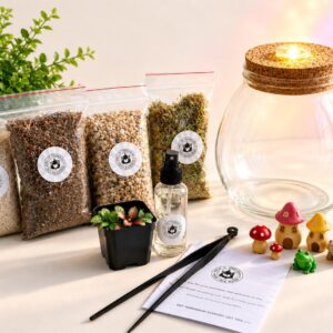 Fairy Garden DIY Terrarium Kit with Light & Fittonia