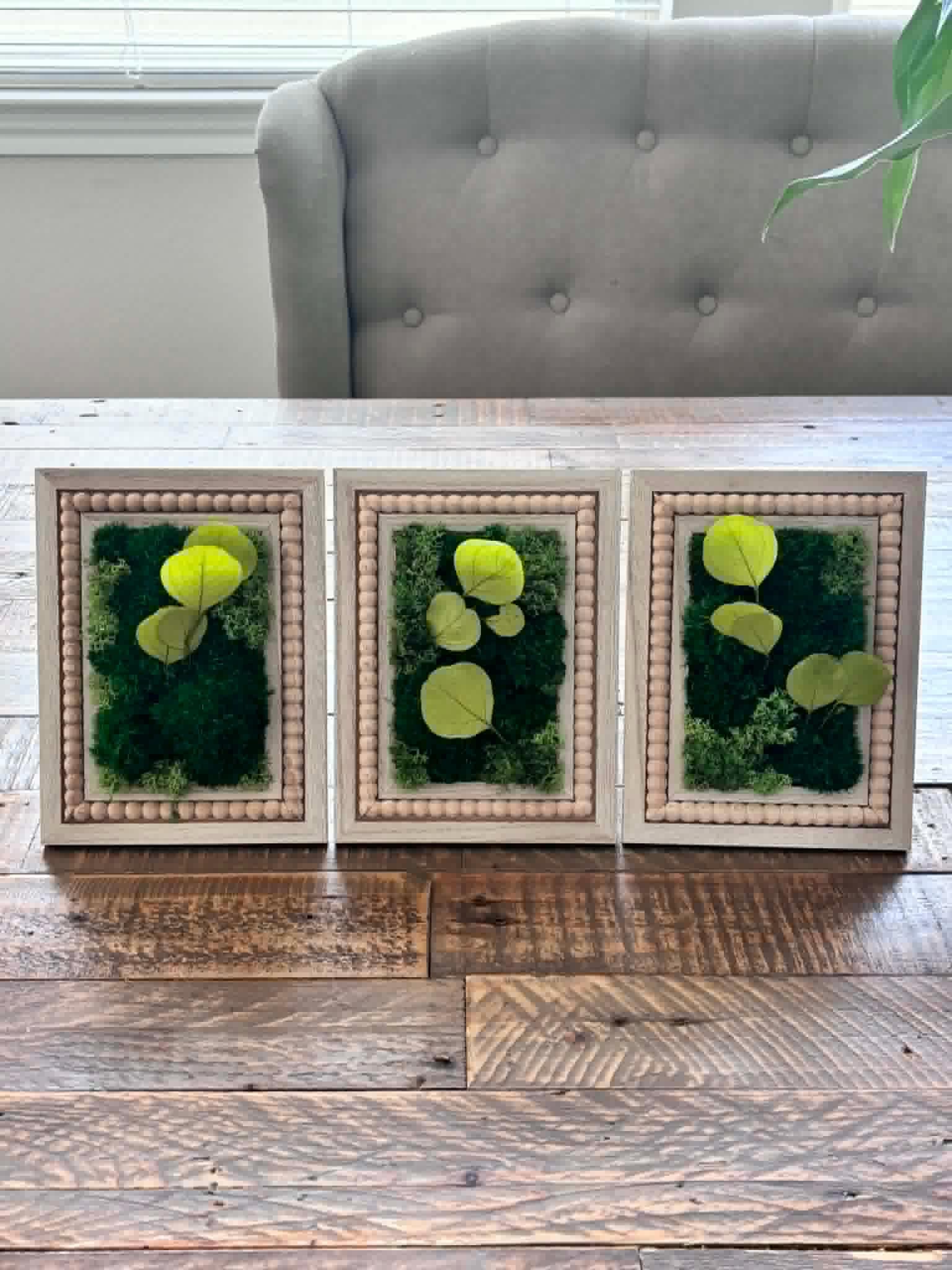 Eucalyptus Preserved Moss Wall Art, Set of 3 - Image 9