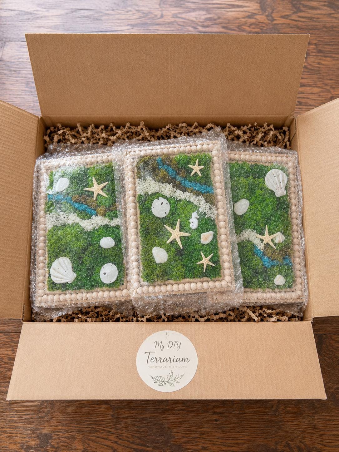 Beach Theme Moss Wall Art with Seashells, Set of 3 - Image 7