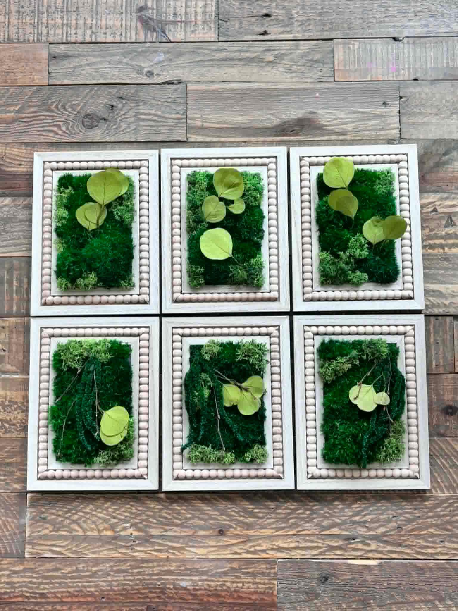 Eucalyptus Preserved Moss Wall Art, Set of 3 - Image 10