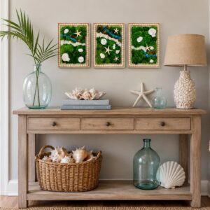 Beach Theme Moss Wall Art with Seashells, Set of 3